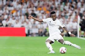 他們採用的 他們採用的