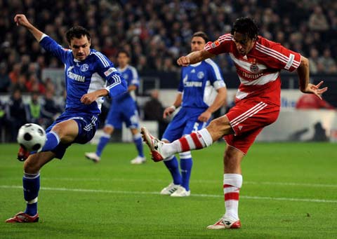 南虎勇战浦 南虎勇战浦